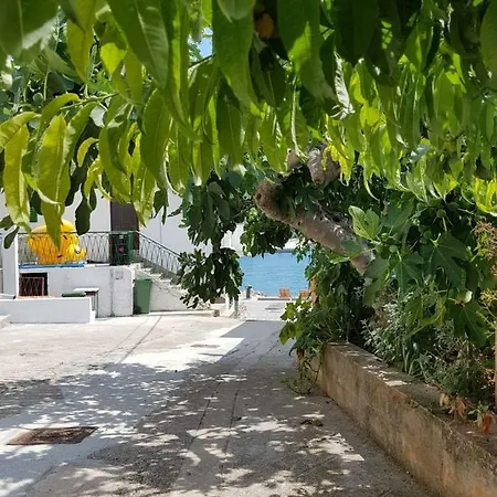 Lejlighed Colour